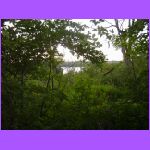 Trail 2.jpg